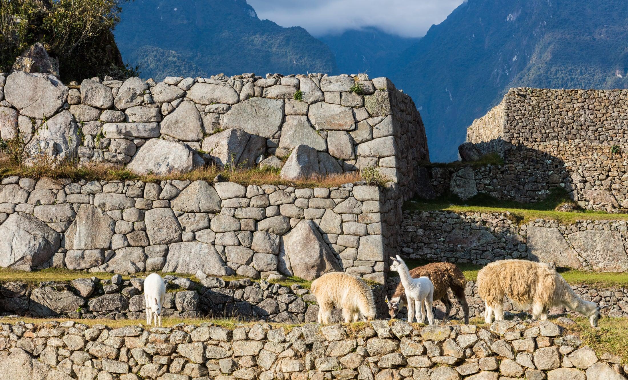 Chile & Peru