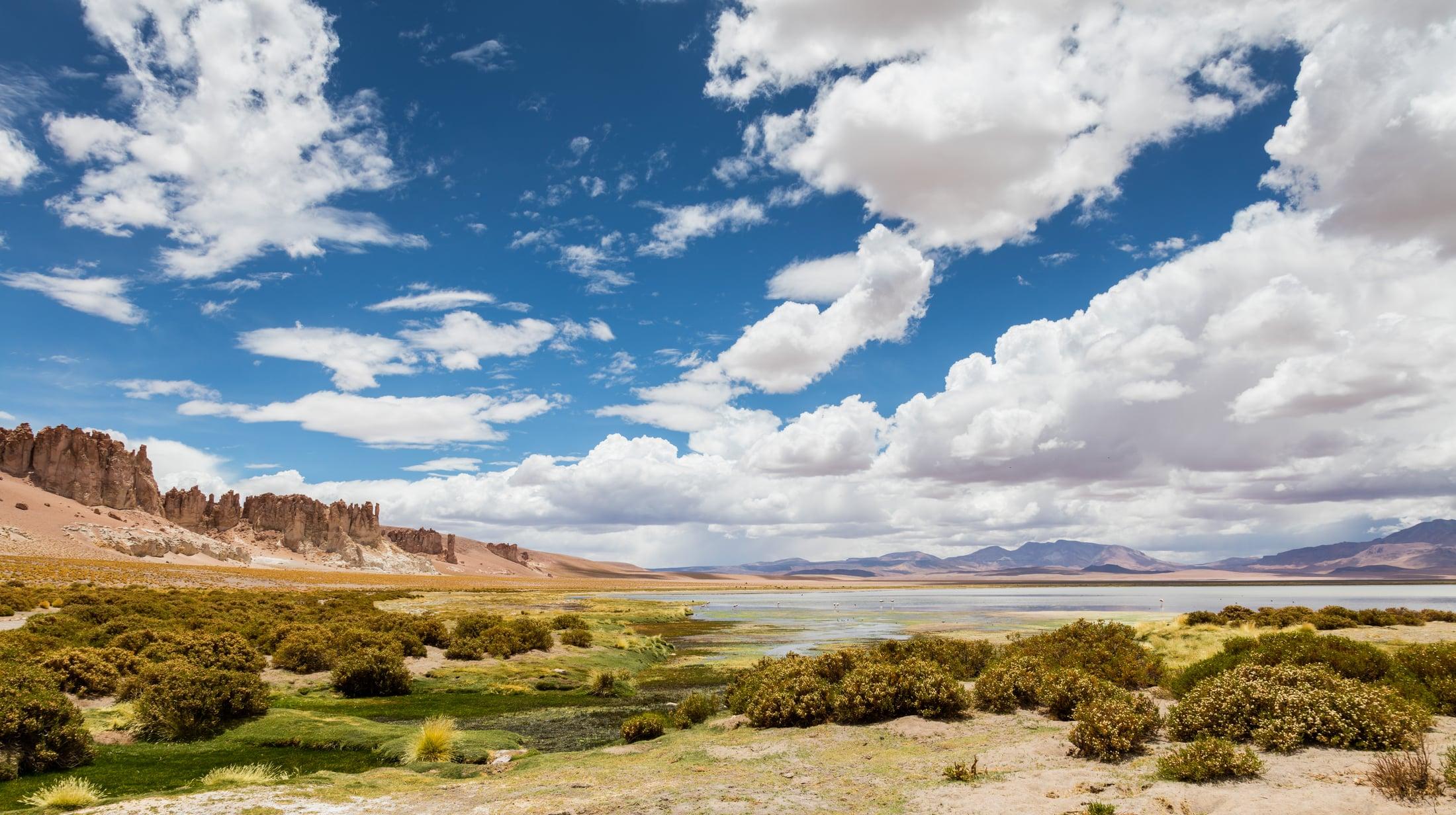 Salar de Tara