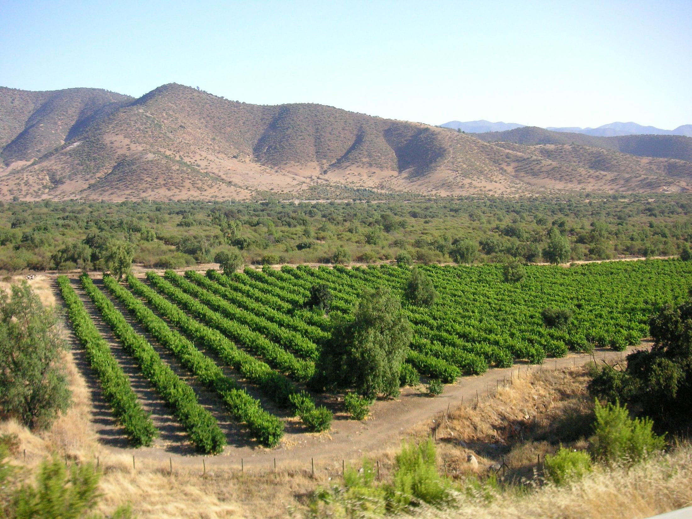 The wine valleys