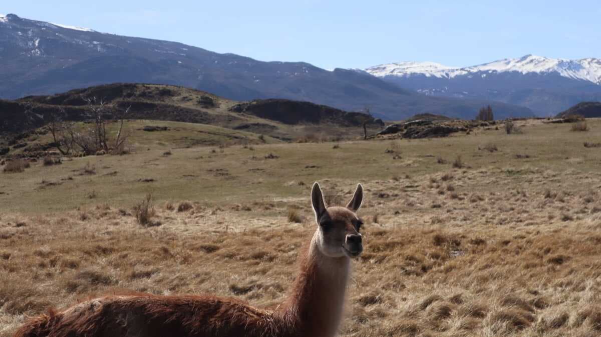 Foto del viaje en camper de Bert por Sudamérica