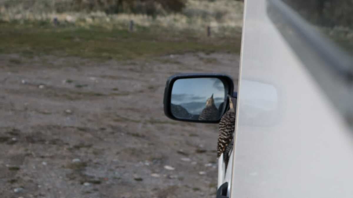 Foto del viaje en camper de Bert por Sudamérica