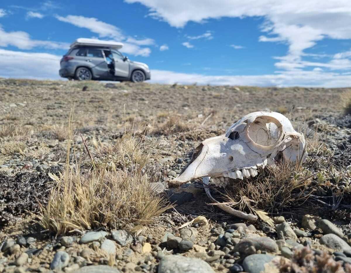 Foto del viaje en camper de Bertus & Hijke por Sudamérica