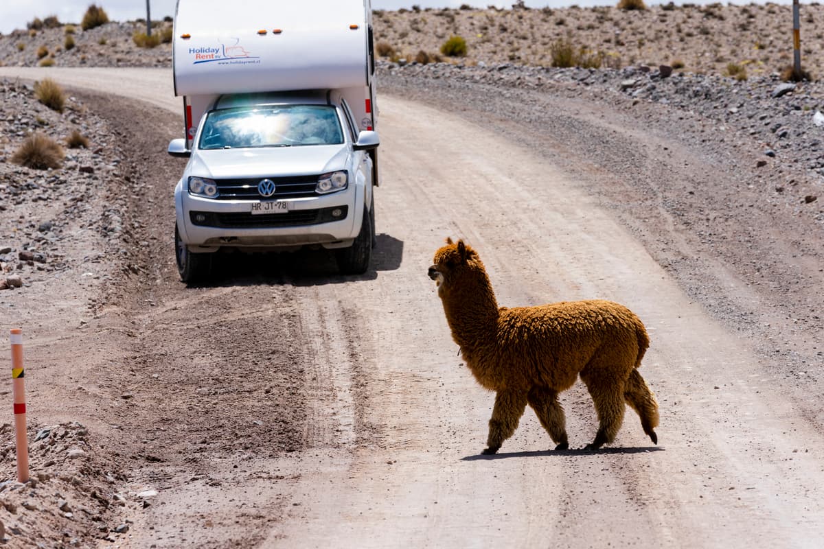 Foto del viaje en camper de Eva Bossle por Sudamérica