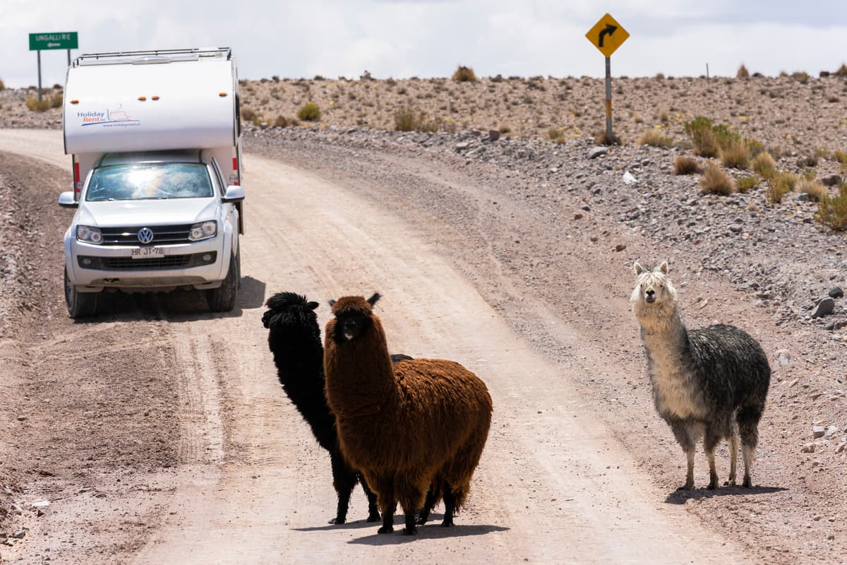 Foto del viaje en camper de Eva Bossle por Sudamérica