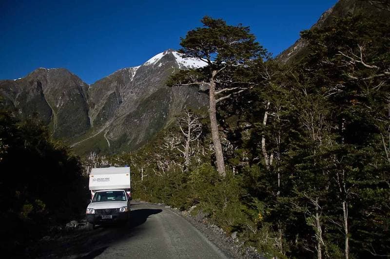 on the northern carretera austral - deep in the forest