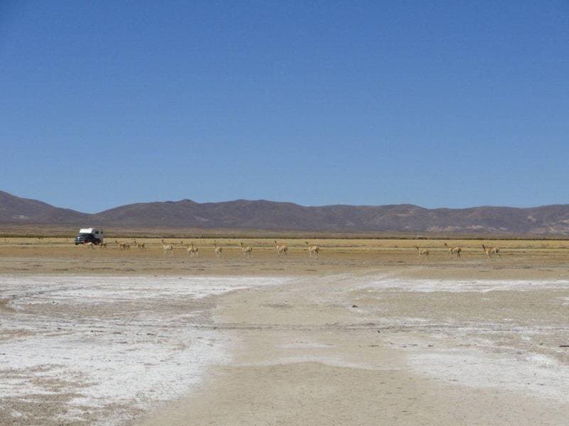 Laguna de Pozuelo