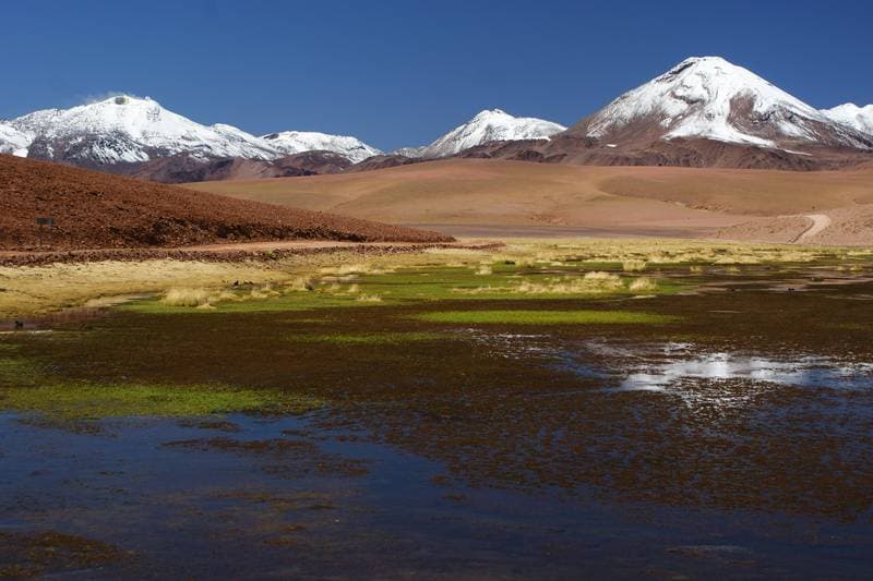 Foto del viaje en camper de Ella & Harry por Sudamérica