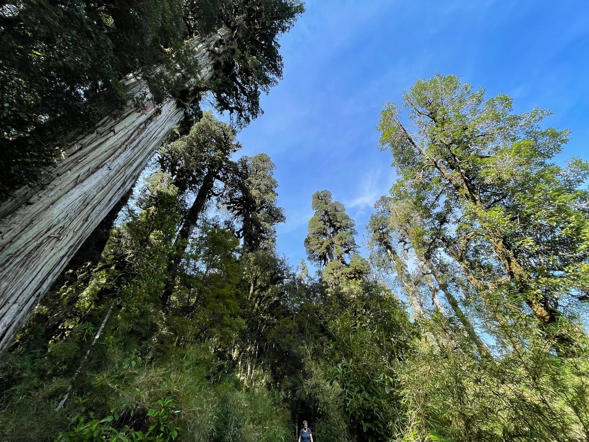 Foto del viaje en camper de Jan Evertsen por Sudamérica