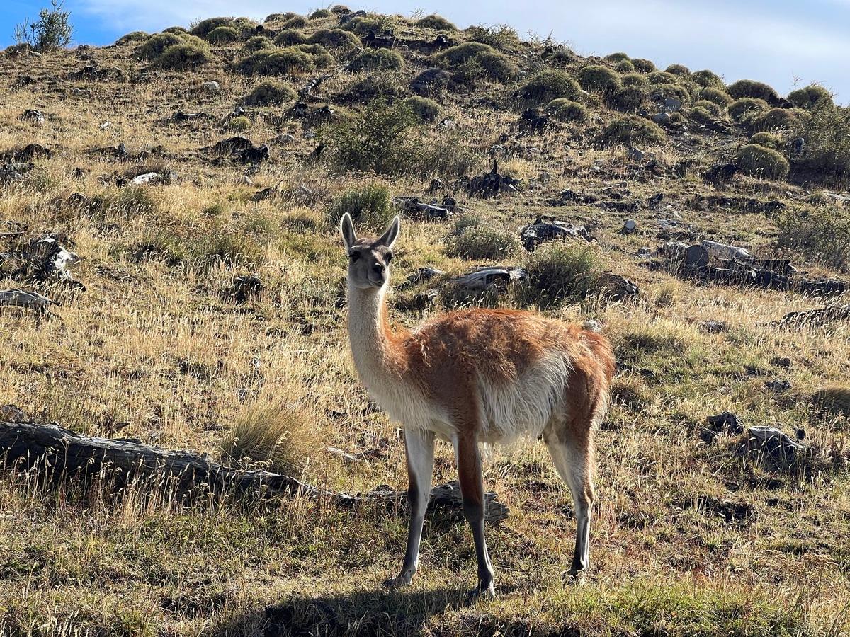 Foto del viaje en camper de Jan Evertsen por Sudamérica