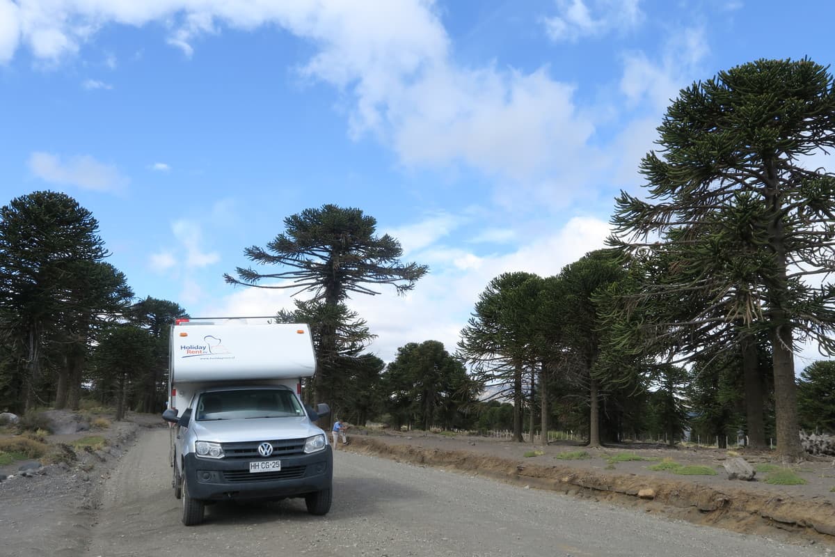 17.4.2019 bei Paso de Mamuil Malal 2