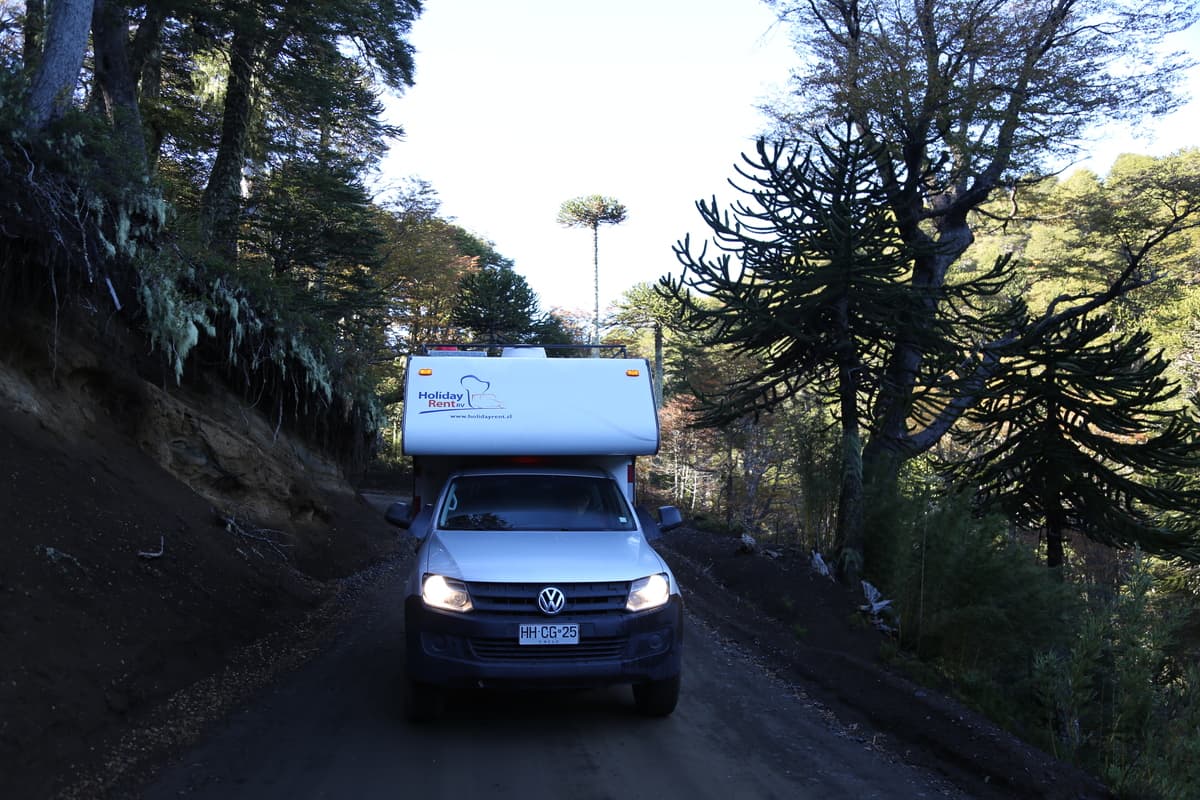22.4.2019 im NP Conguillo 6