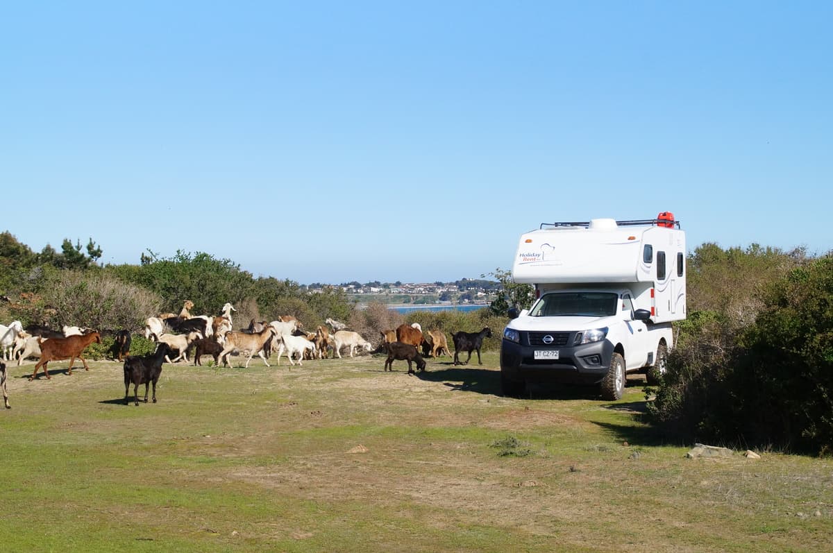 Foto del viaje en camper de Hofmann por Sudamérica