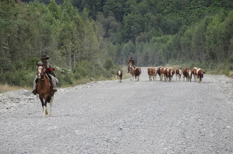 At Carretera Austral