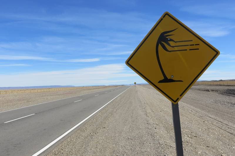 Argentina´s pampa, here the patagonian wind starts