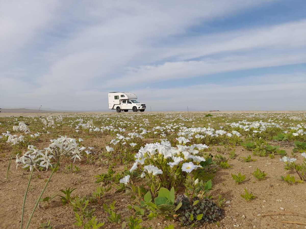 Foto del viaje en camper de Fam. Hormazábal por Sudamérica