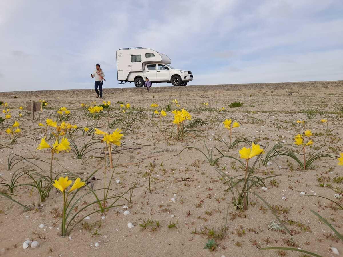 Foto del viaje en camper de Fam. Hormazábal por Sudamérica