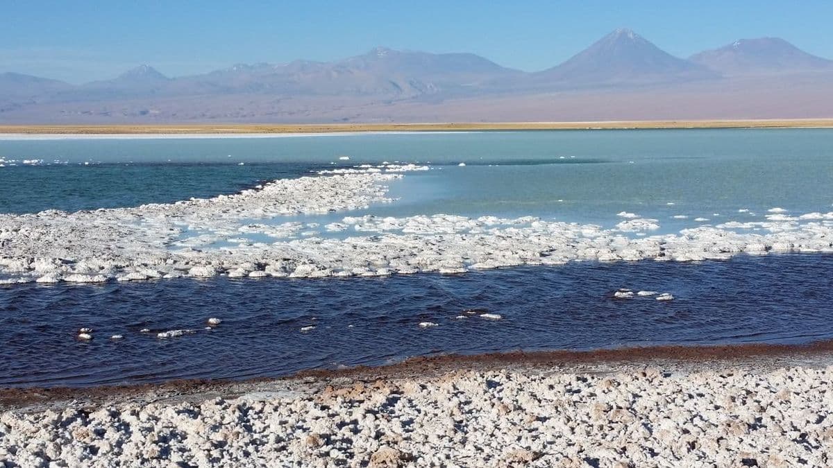 Laguna Chaxa