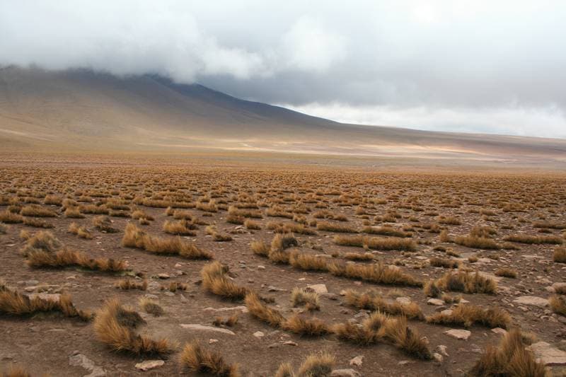 4000 meter, another planet.