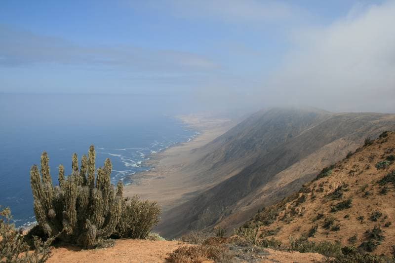 Pan de Azucar, at the end of a fantastic trail to Lomitas, we saw this breathtaking view where the Camanchaca keeps going.