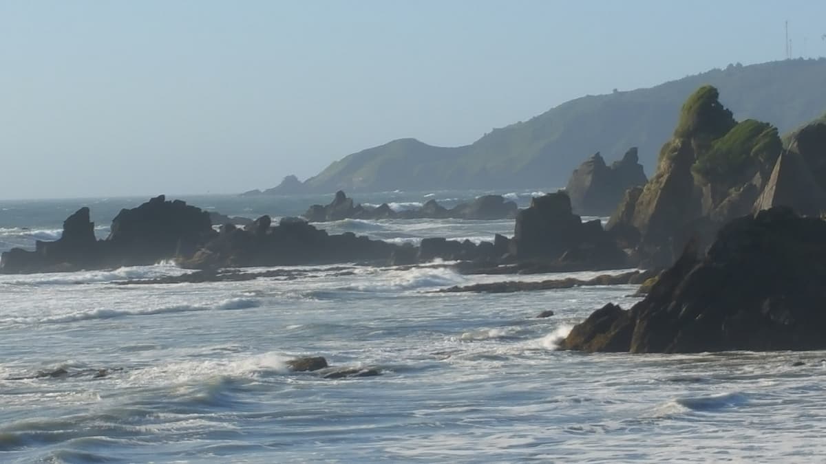 Costa Pacífico al norte de Valdivia