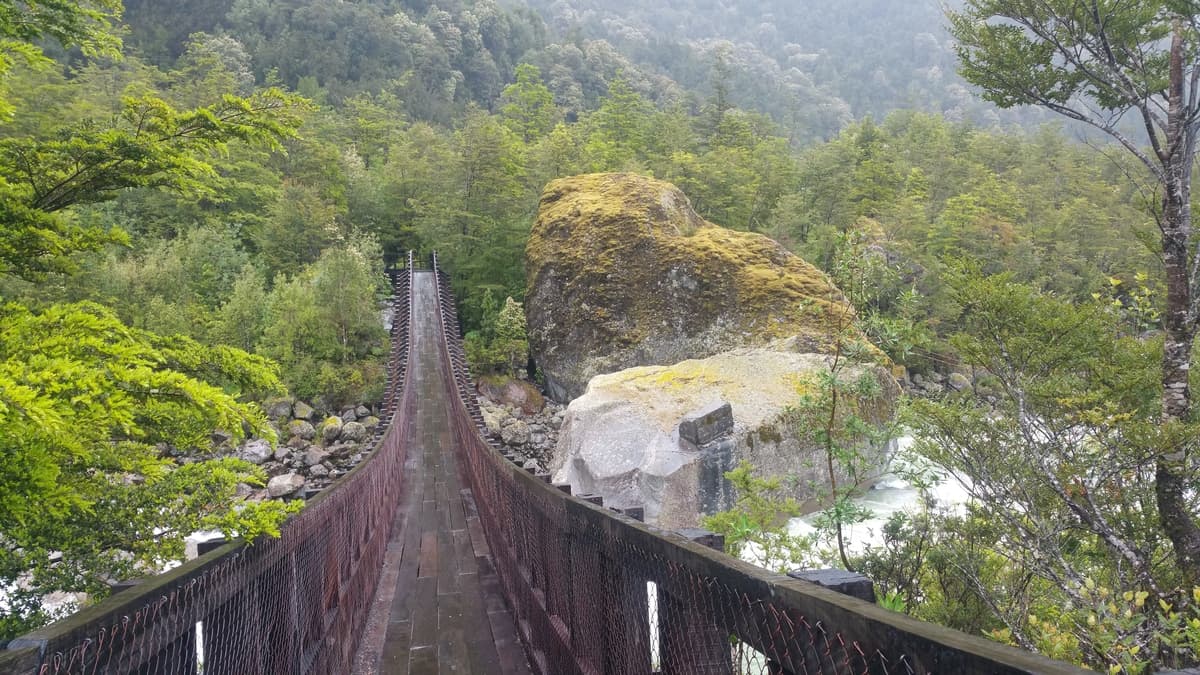 Puente en PN Queulat