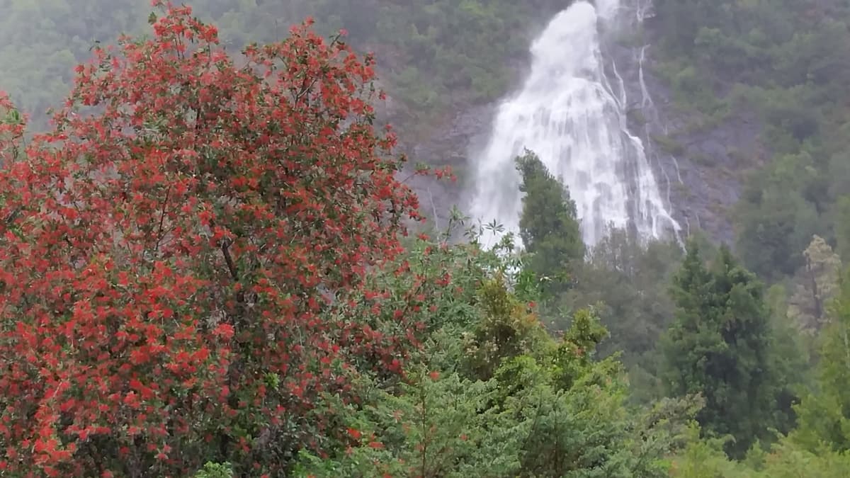 Valle Rio Palena