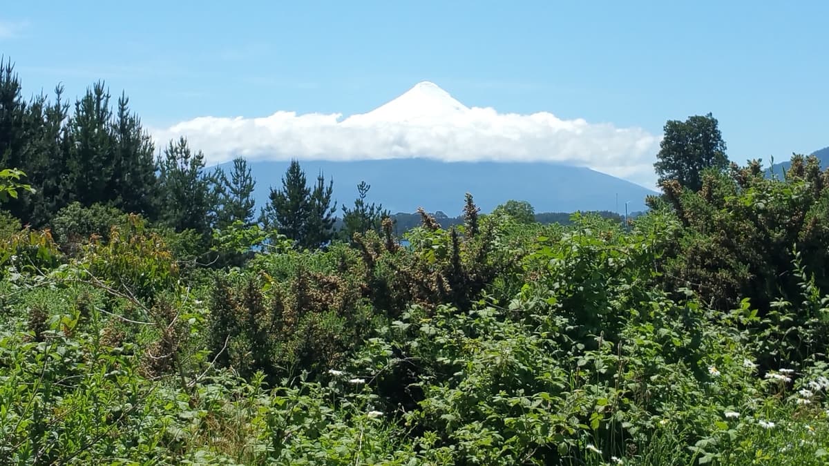 Vn Osorno desde Ensenada