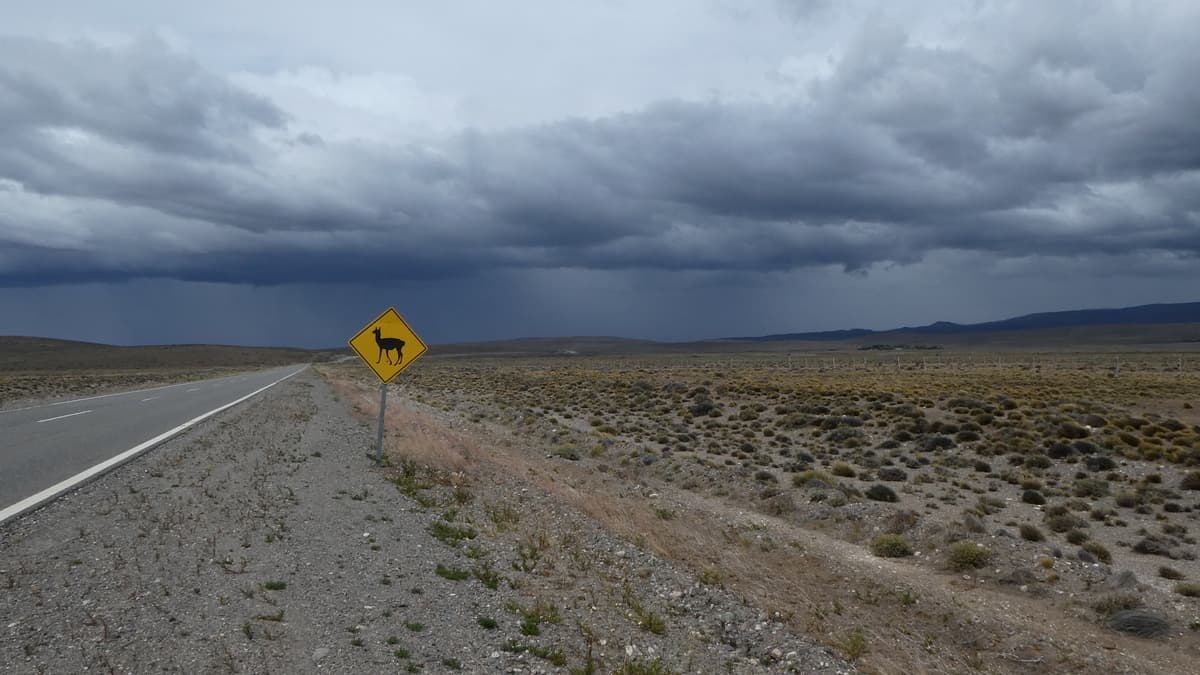Pampa Argentina