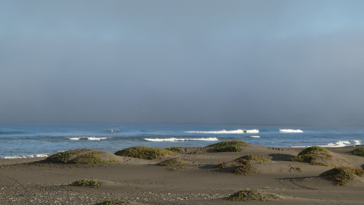 Ruta del mar