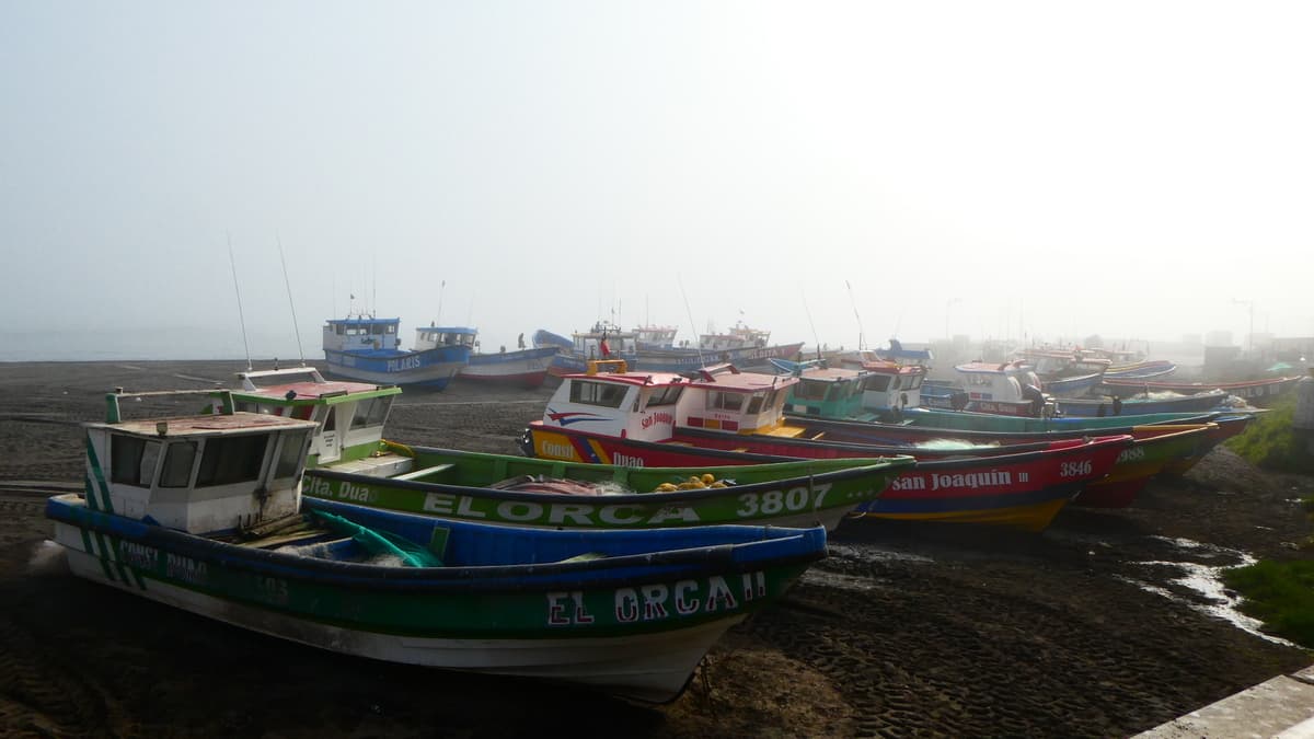 Ruta del mar