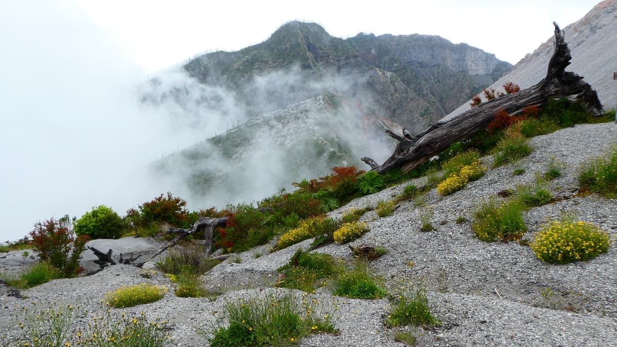 near Volcano Chaiten