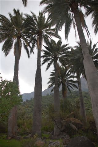 Foto del viaje en camper de Irmgard & Rainer por Sudamérica