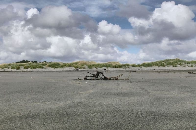 At the beach of Maullín