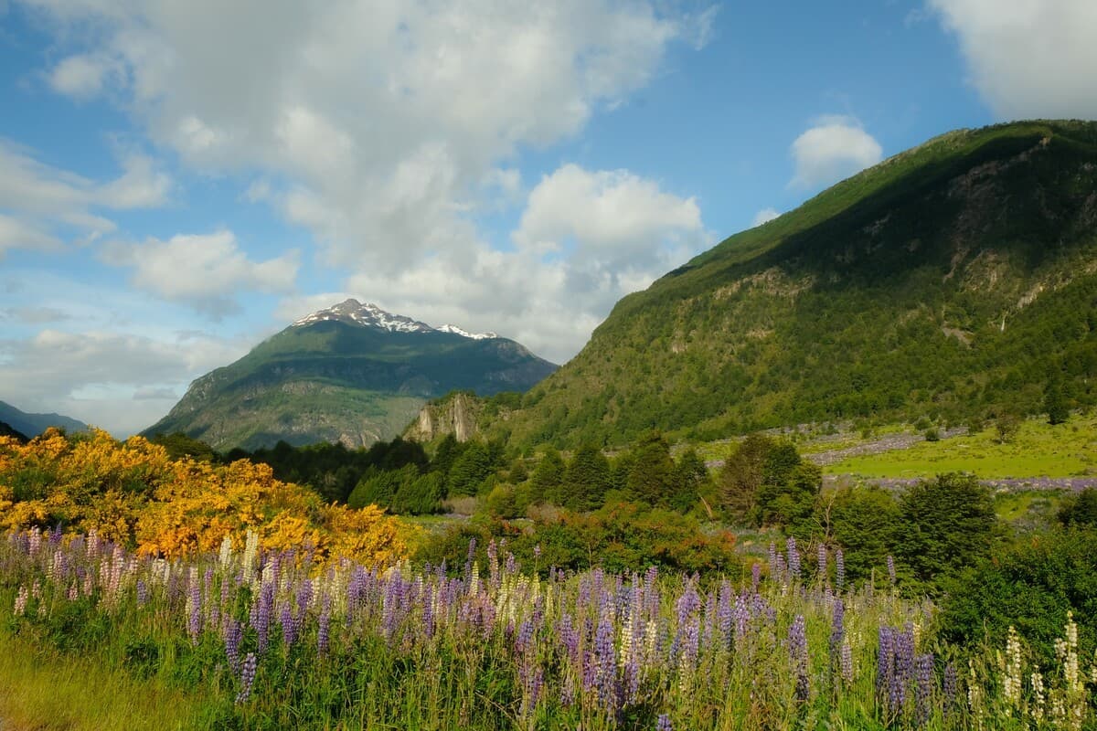Holiday Rent campertrip nature Stephan & Vivien
