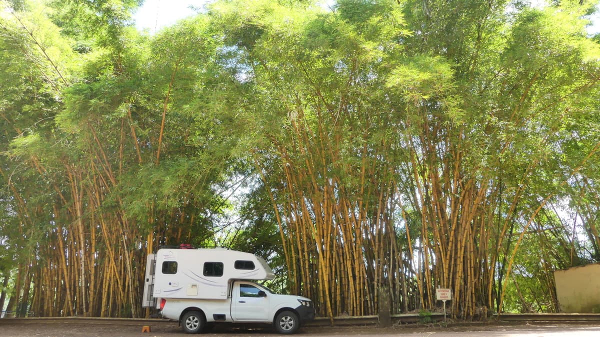 North of Argentina closeby San Ignacio