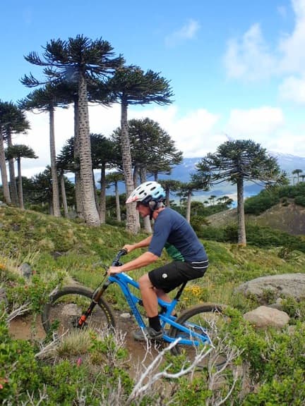 Heather mountainbiking