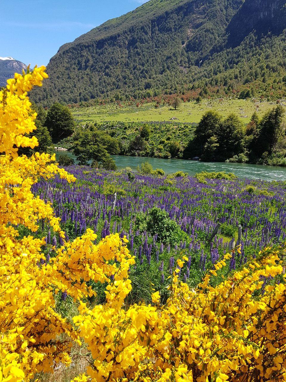 Carretera Austral