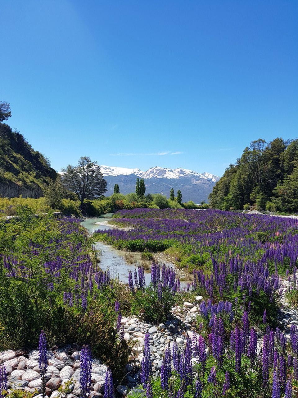 Carretera Austral