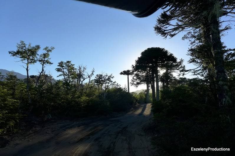 Foto del viaje en camper de Zita & Kristof por Sudamérica