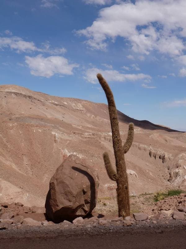 Foto del viaje en camper de Benoit fam. por Sudamérica
