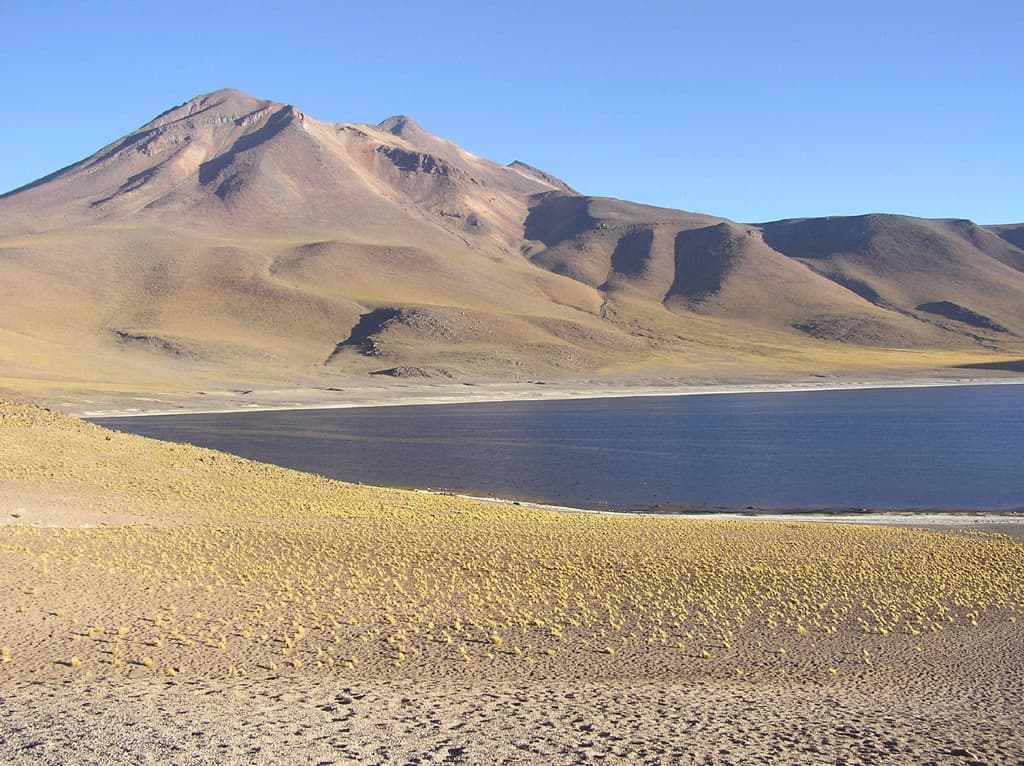 Chile Laguna Miniques