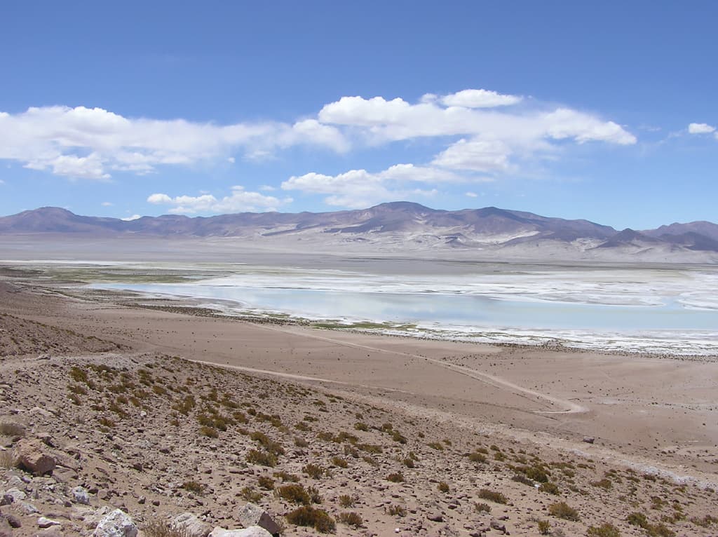 Chile Salar de Huasco