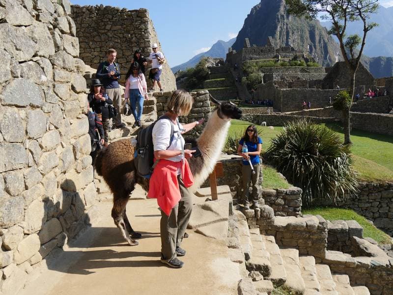 Foto del viaje en camper de Peter Gläser por Sudamérica
