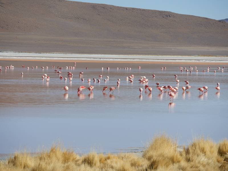 Foto del viaje en camper de Peter Gläser por Sudamérica