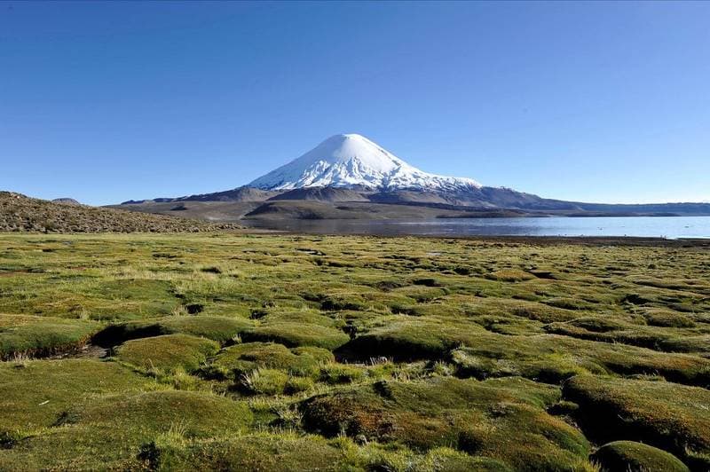 PN Lauca Volcan Parinacota
