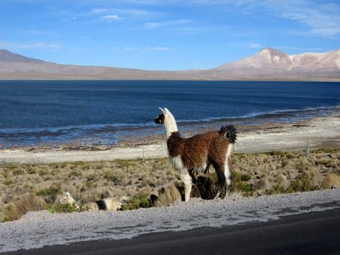Foto del viaje en camper de Sandra & Henk por Sudamérica
