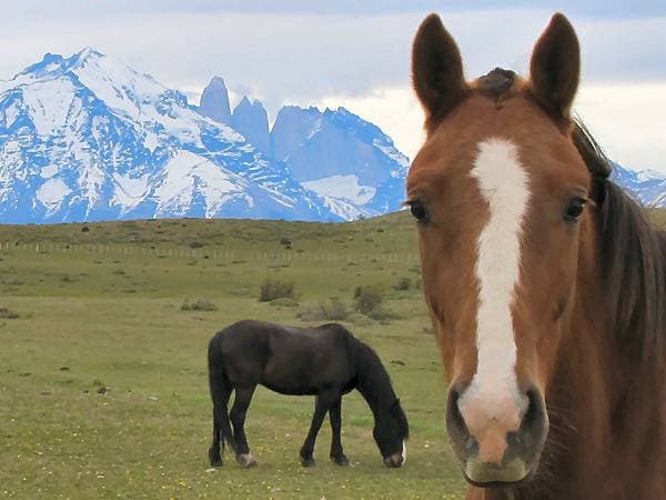 Hiking in Torres Del Paine National Park