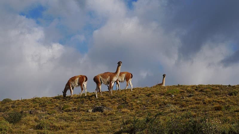 Foto del viaje en camper de Trauti & Emil por Sudamérica