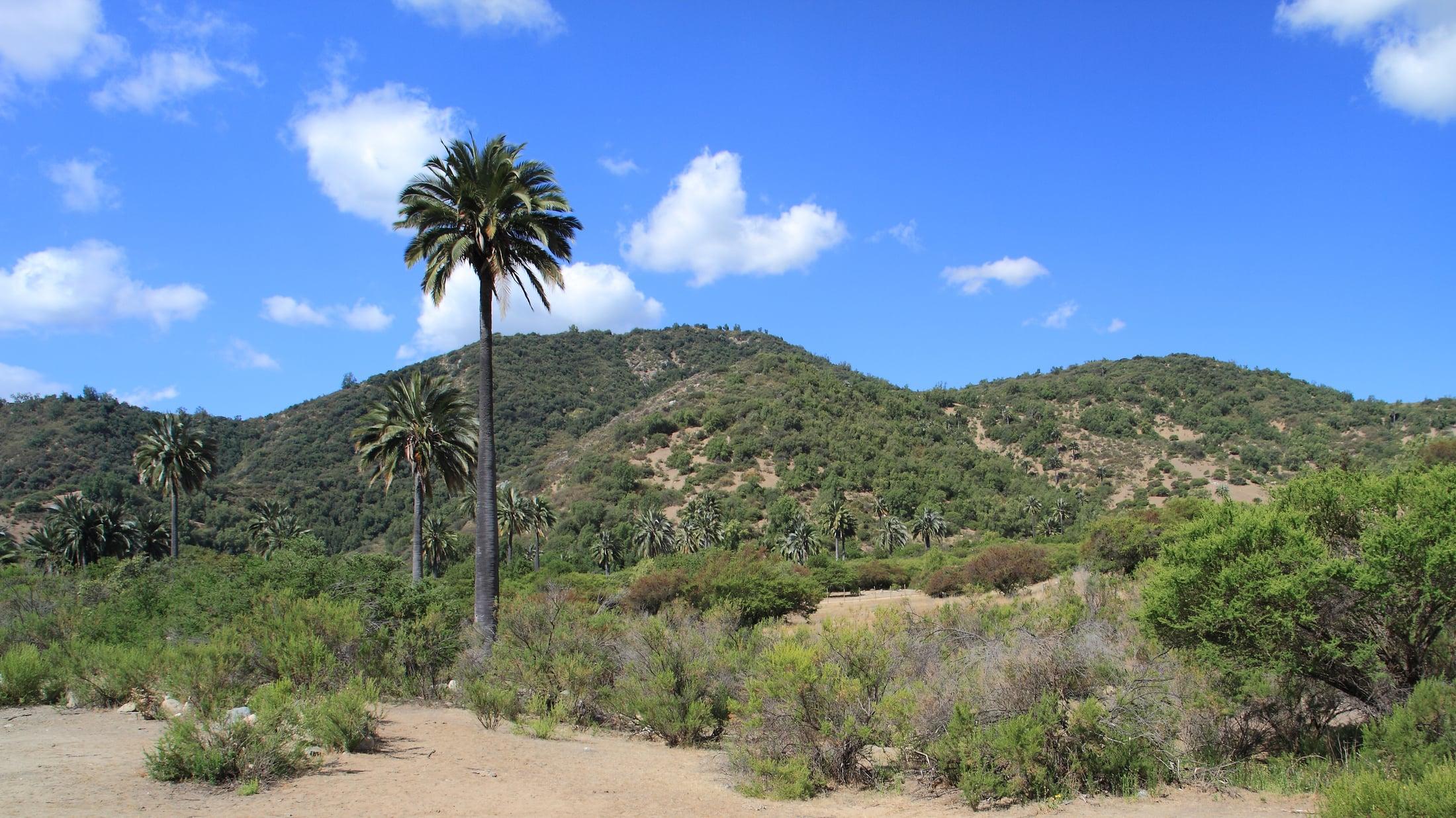 Parque Nacional La Campana