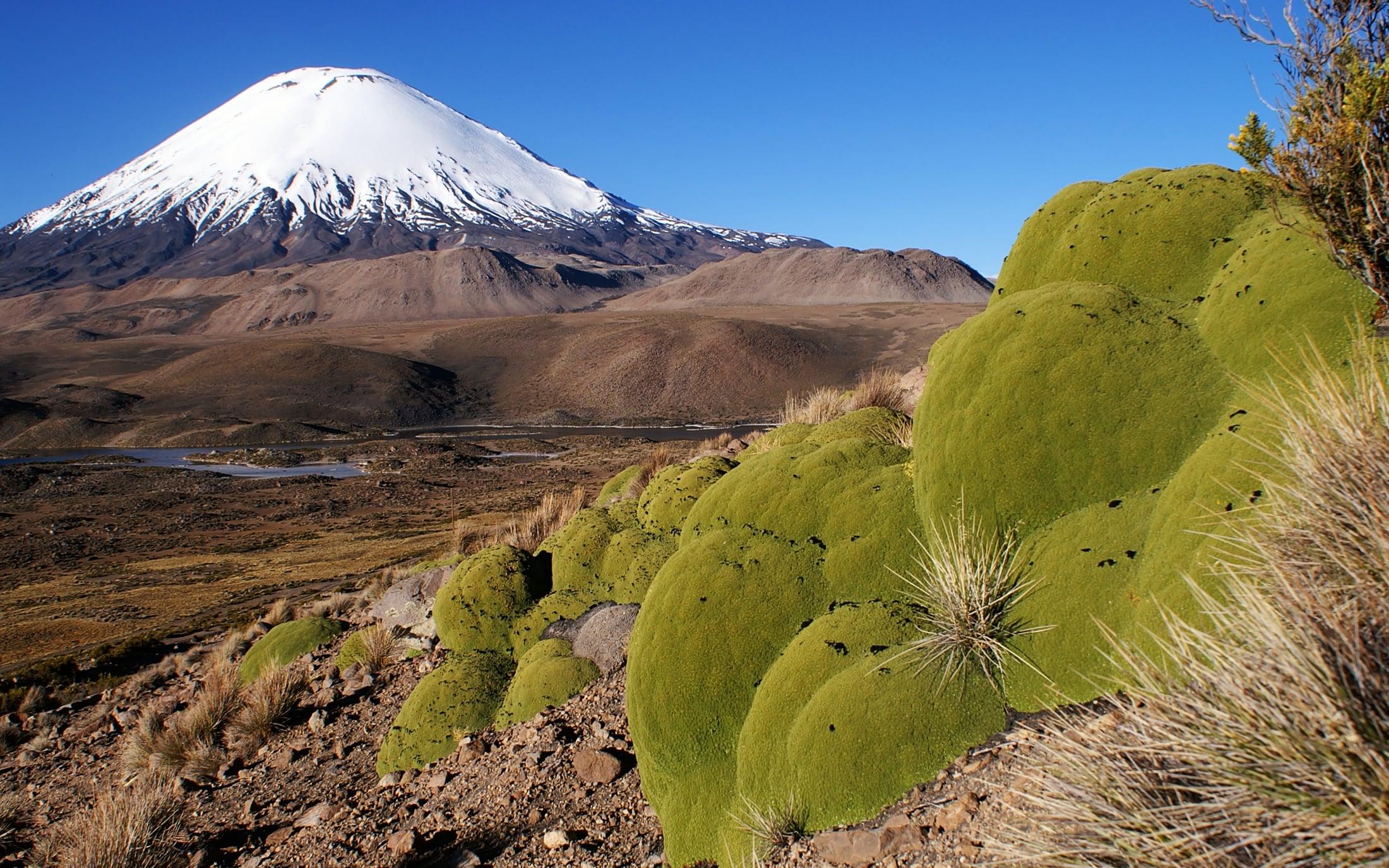 Parque Nacional Lauca